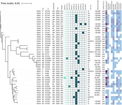 Plasmid-mediated colistin resistance among human clinical Enterobacterales isolates: national surveillance in the Czech Republic